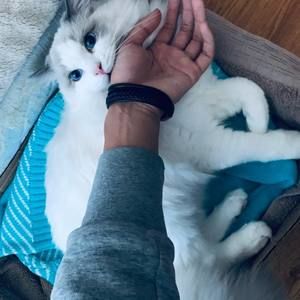 Meet your Posher, Edward